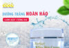 Face nhân sâm ngọc trai Coco Shine – Mang lại làn da sáng bóng không tỳ vết