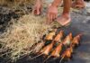 Món thịt chuột đặc sản của người làng Giống