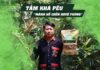 4 điều bạn cần biết về Tầm Khá Pêu – lương y Lý Sinh Phúc