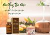 “Thảo Dược Bà Thông: Đồng Hành Với Sức Khỏe Từ Thiên Nhiên”