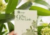 Sữa tắm hương hoa sữa: dịu dàng gói cả mùa thu Hà Nội
